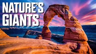 SEDONA, What If there is a Life?
