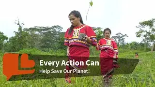 Save The Forests in Philippines: You Can Help To Plant a Tree!