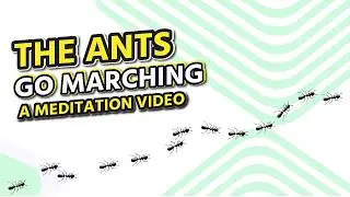 The Ants Go Marching - a Meditation Video