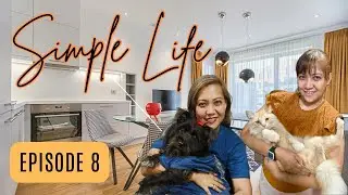 SILENT VLOG - LIFE WITH PETS #pet
