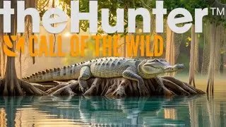 Krokodil Action in Australien - The hunter call of the wild