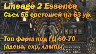 Открыл 55 ламп на 63 лвл, Exp с 55 светошей в Lineage 2 Essence и кач в топ локе под ГЦ для 60-70