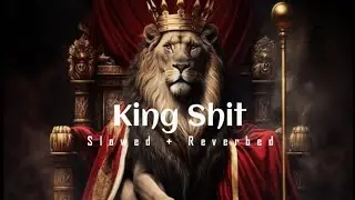 King Shit (Slowed + Reverbed) | 𝗦𝗻𝗲𝗵𝗮𝗪𝗼𝗼𝗱 ☊