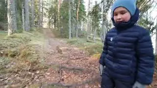 лесные тропы на Ялгору