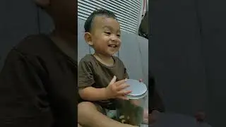 Berusaha Buka Toples Cookies