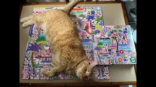 EeBoo Cats Around Town Jigsaw Puzzle #jigsawpuzzle #puzzle #timelapse