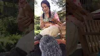 李小梅 is live!