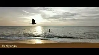 srilanka fishing boat