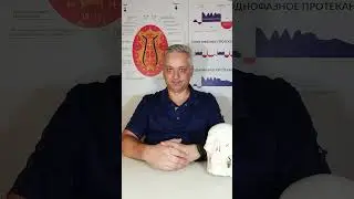Игорь Левачев. Германская Новая Медицина доктора Хаммера.