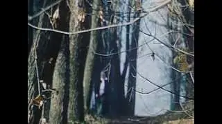Фрагмент телефильма  