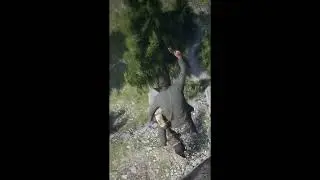 Untitled #short