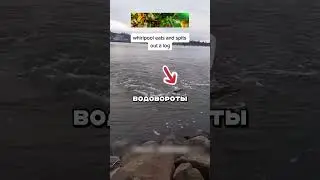🤯 ЧТО ПРОИСХОДИТ ПРИ ВОДОВОРОТАХ?