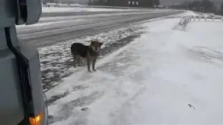 Дальнобой по ДВ и Сибири.