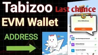 How To Connect EVM Wallet Address In Tabizoo | hamster combat #tabizoo #evmadress