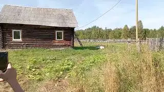 дом копатыча