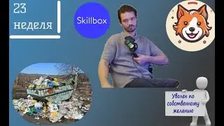 Работа в IT. 23 неделя.Позвали куратором в Skillbox.Тех долг- зло. Почему в IT часто меняют работу?