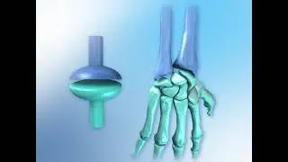 3D MEDICAL #3