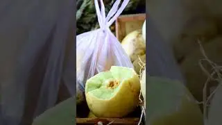 ¡Te esperamos con las mejores promociones, calidad y servicio!