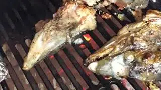 Grilled salmon head for the first time