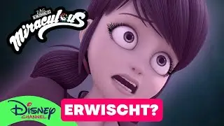 Hat Monarch Ladybug enttarnt? | Miraculous 🐞🐱