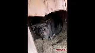 Когда шлепнул свою девушку по попе😂