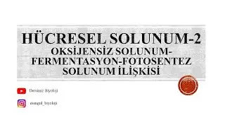 12. Sınıf Hücresel Solunum - Oksijensiz Solunum - Fermentasyon - Fotosentez Solunum İlişkisi