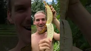 Do you like your bananas big or small?