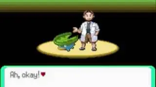 Let's Play Pokémon Emerald Part 1, Meet the Neighbours