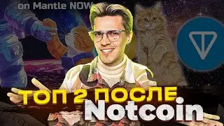 Аирдроп в Сatizen 2.0. Как привязать кошелек и прокачать авто БЫСТРО. Гайд по заработку без вложений