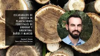 Escarabajos de corteza en plantaciones forestales de Uruguay y Argentina: daños y manejo.