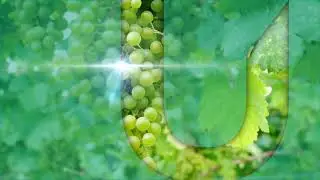 03 NATURE