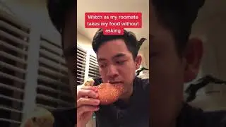 bird eat human food funny laugh haha