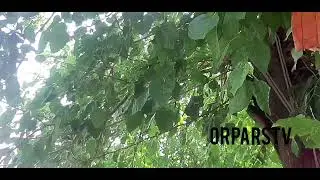 @SÜRGÜN @VE SON KEZ @OGUNORPARS
