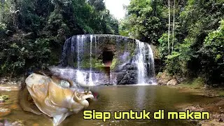 Ikan pelian masak kukus paling sedap
