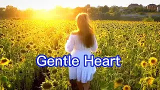 Gentle Heart （ Lyrics）温柔的心 --- Joshua Hyslop