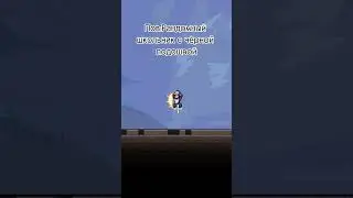 Надеюсь у вас в школах не музей черкашей...#terraria #shorts