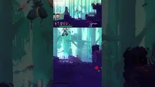 Где находится третья роза и ключ садовника в dead cells? Как открыть секретный проход