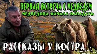 Рассказ о первой Встрече с Агрессивной Медведицей. Защищая своих медвежат, чуть не задрала Геологов