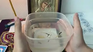 Как самостоятельно проверить есть ли на вас магическое воздействие? 