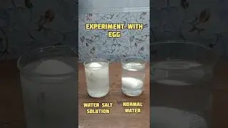 EXPERIMENT WITH EGG 🔥❤️ || #experiment #scienceexperiment #science #shorts #youtubeshorts #ytshort
