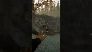 охота на обаригена 