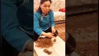 Мастер-класс 