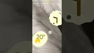 Google Pixel 7 Looks #shorts #pixel7 #viral