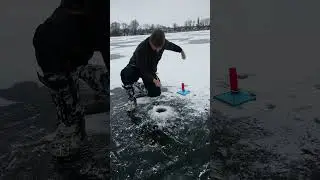 Есть! Хорошенькая!