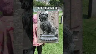 VĚCI, KTERÉ NEVÍTE O GTA 5 😯