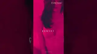 evroshe iç giyim