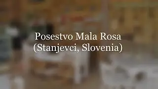 Posestvo Mala Rosa // Stanjevci, Slovenia