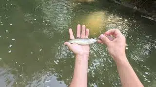 Pike River Fishing Kenosha