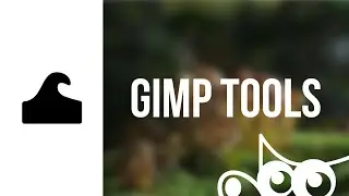 GIMP | Warp Transform