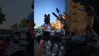27 июля 2024 г.